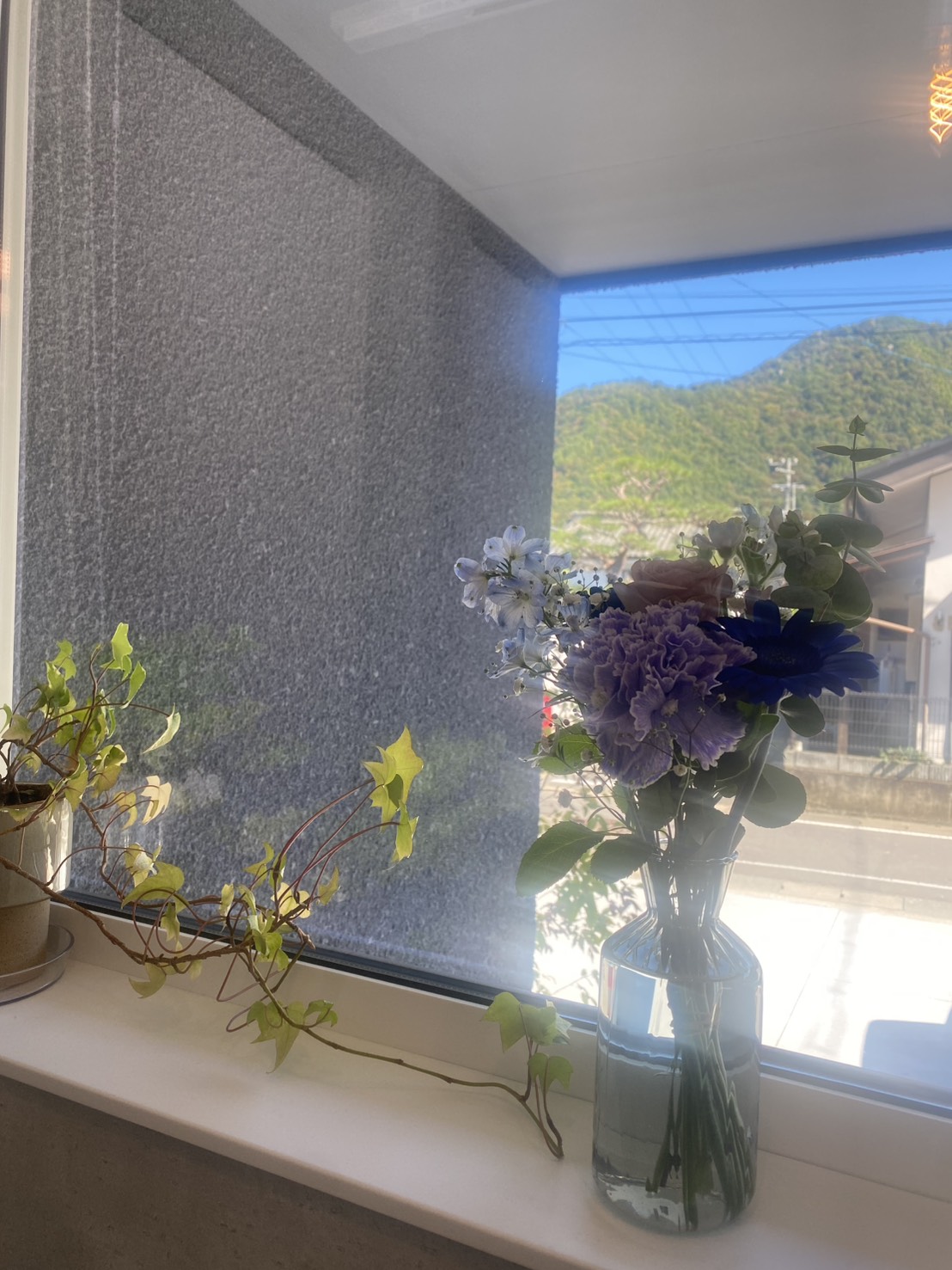 窓辺に飾られた青紫の花
